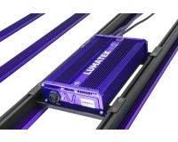 Lumatek Zeus 600 W PRO LED 3.1