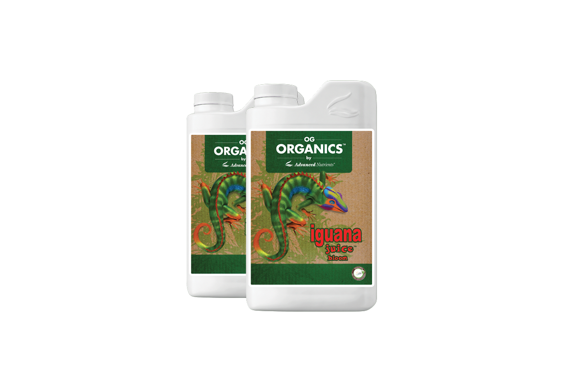 Grow Your Own Kit Organic