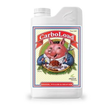 CarboLoad  250 ml