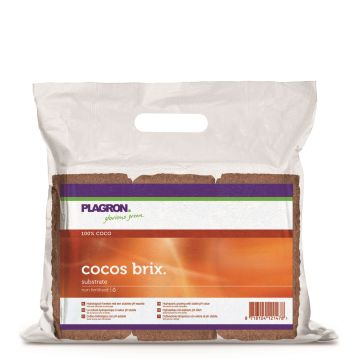 Plagron Cocos Brix 6 kos